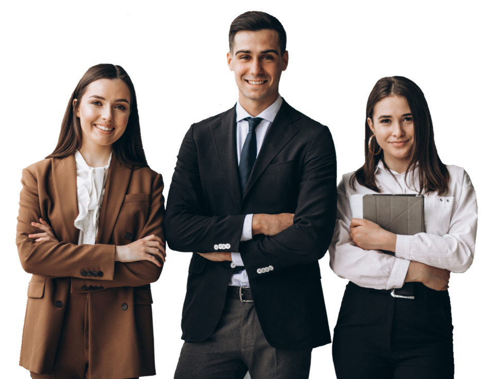 logo vertice elearning